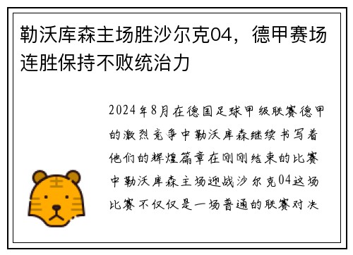 勒沃库森主场胜沙尔克04，德甲赛场连胜保持不败统治力